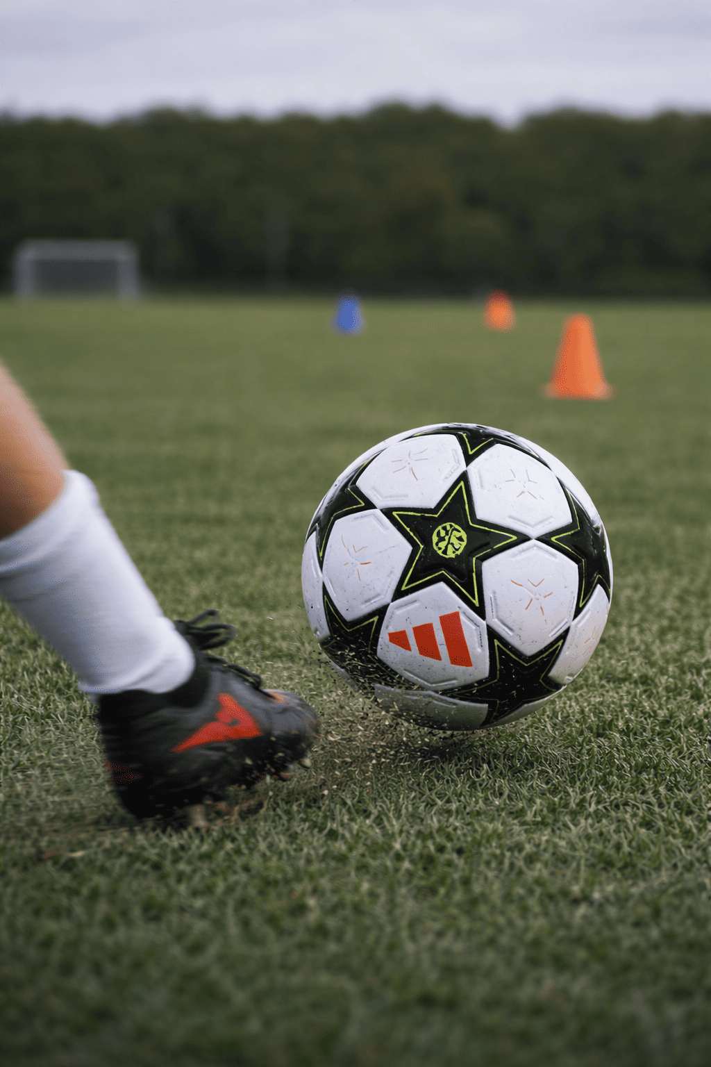 UEFA Champions League Ball